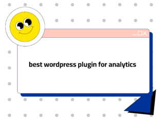 The best WordPress plugins for statistics